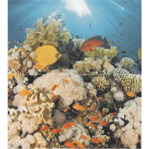 Панно Ceradim Dec Corals панно из 2-х шт 50х45